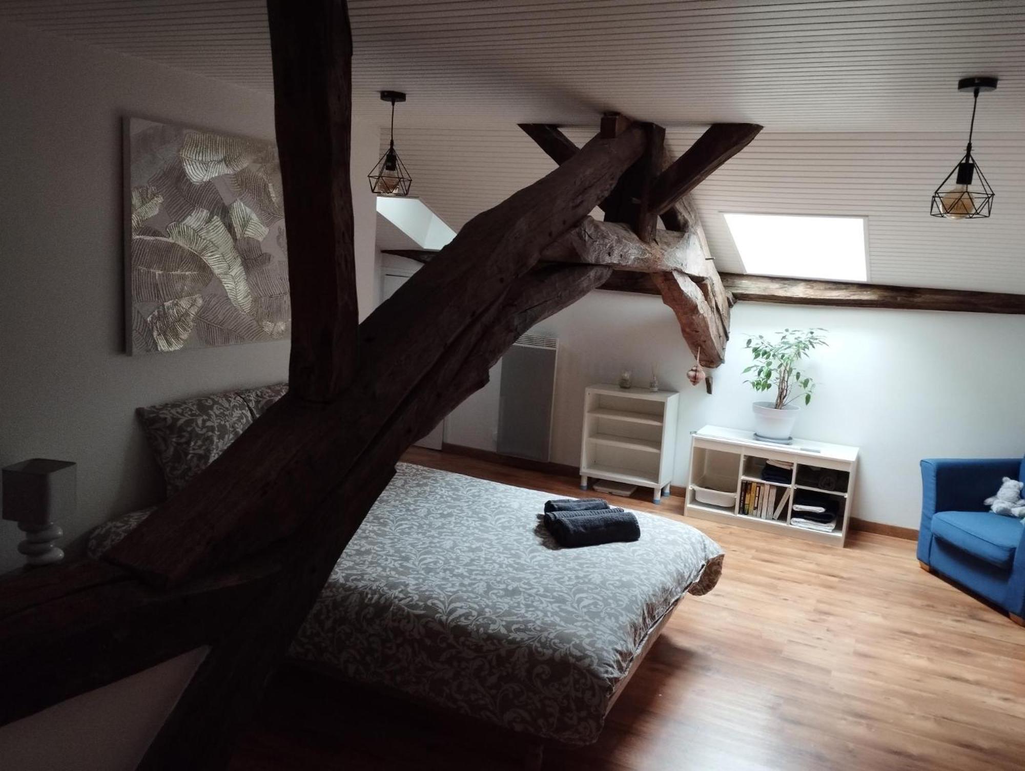 La Maison De Marie, Cosy Et Spacieuse - 3 Chambres Dont Une Climatisee Шатійон-сюр-Шаларонн Екстер'єр фото